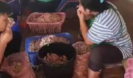 爆料无骨鸡脚视频大全,轻松享受美味佳肴